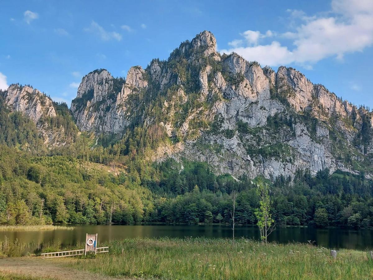 Neues Traunsee Apartment Altmünster المظهر الخارجي الصورة